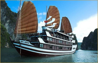 Bhaya Cruise