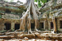 Cambodian Explorer