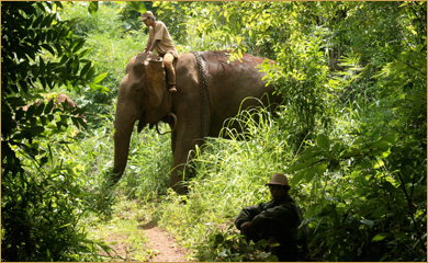 Trekking Cambodia