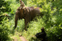 Trekking Cambodia