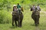 The Elephant Village