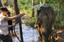 The Elephant Valley Project